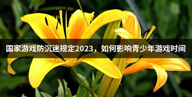 国家游戏防沉迷规定2023，如何影响青少年游戏时间