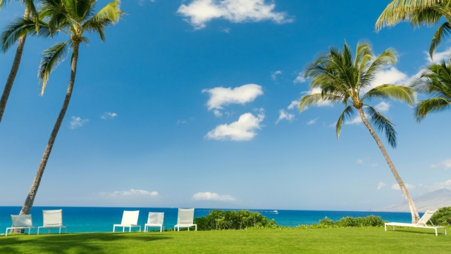 长文面经：零基础游戏渲染／图形引擎开发之路