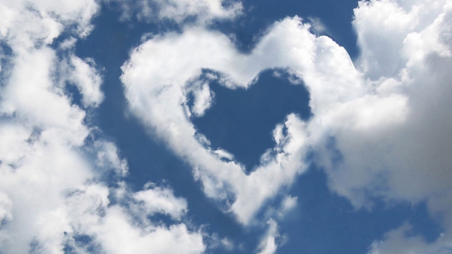 这个周末，漯河会展中心见！